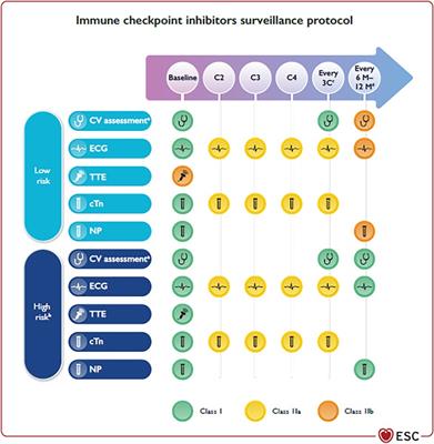 The broad spectrum of cardiotoxicities from immunotherapies